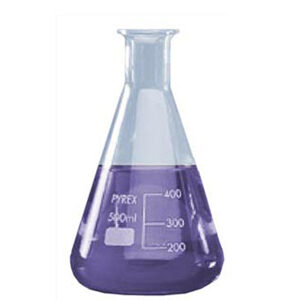 Erlenmeyer